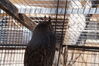 Filename=20180328_057.jpg
Filesize=392KiB
Dimensions=2047x1360
Date added=Dec 24, 2018 20180328_057.jpg