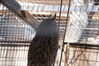 Filename=20180328_058.jpg
Filesize=400KiB
Dimensions=2047x1360
Date added=Dec 24, 2018 20180328_058.jpg