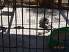 Filename=20180328_062.jpg
Filesize=366KiB
Dimensions=2048x1536
Date added=Dec 24, 2018 20180328_062.jpg
