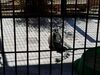 Filename=20180328_063.jpg
Filesize=376KiB
Dimensions=2048x1536
Date added=Dec 24, 2018 20180328_063.jpg
