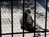 Filename=20180328_064.jpg
Filesize=302KiB
Dimensions=2048x1536
Date added=Dec 24, 2018 20180328_064.jpg