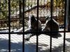 Filename=20180328_065.jpg
Filesize=405KiB
Dimensions=2048x1536
Date added=Dec 24, 2018 20180328_065.jpg