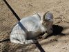 Filename=20180328_070.jpg
Filesize=571KiB
Dimensions=2048x1536
Date added=Dec 24, 2018 20180328_070.jpg