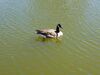 Filename=20180328_072.jpg
Filesize=337KiB
Dimensions=2048x1536
Date added=Dec 24, 2018 20180328_072.jpg