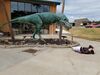 Filename=20180407_005.jpg
Filesize=586KiB
Dimensions=2048x1536
Date added=Dec 25, 2018 20180407_005.jpg
