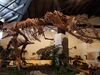 Filename=20180407_015.jpg
Filesize=587KiB
Dimensions=2048x1536
Date added=Dec 25, 2018 20180407_015.jpg