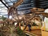 Filename=20180407_038.jpg
Filesize=643KiB
Dimensions=2048x1536
Date added=Dec 25, 2018 20180407_038.jpg