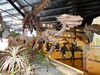 Filename=20180407_039.jpg
Filesize=779KiB
Dimensions=2048x1536
Date added=Dec 25, 2018 20180407_039.jpg