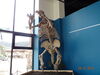 Filename=20180407_054.jpg
Filesize=374KiB
Dimensions=2048x1536
Date added=Dec 25, 2018 20180407_054.jpg