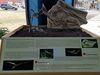 Filename=20180407_056.jpg
Filesize=612KiB
Dimensions=2048x1536
Date added=Dec 25, 2018 20180407_056.jpg