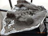 Filename=20180407_062.jpg
Filesize=713KiB
Dimensions=2048x1536
Date added=Dec 25, 2018 20180407_062.jpg