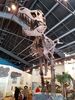 Filename=20180407_069.jpg
Filesize=638KiB
Dimensions=1536x2048
Date added=Dec 25, 2018 20180407_069.jpg