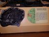 Filename=20180407_078.jpg
Filesize=418KiB
Dimensions=2048x1536
Date added=Dec 25, 2018 20180407_078.jpg