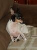 Filename=20180411_001.jpg
Filesize=265KiB
Dimensions=1536x2048
Date added=Dec 25, 2018 20180411_001.jpg