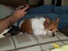 Filename=20180414_001.jpg
Filesize=410KiB
Dimensions=2048x1536
Date added=Dec 25, 2018 20180414_001.jpg