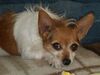 Filename=20180414_002.jpg
Filesize=326KiB
Dimensions=2048x1536
Date added=Dec 25, 2018 20180414_002.jpg
