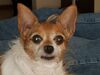 Filename=20180414_003.jpg
Filesize=305KiB
Dimensions=2048x1536
Date added=Dec 25, 2018 20180414_003.jpg