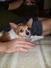 Filename=20180511_001.jpg
Filesize=401KiB
Dimensions=1536x2048
Date added=Dec 25, 2018 20180511_001.jpg