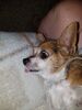Filename=20180511_002.jpg
Filesize=541KiB
Dimensions=1536x2048
Date added=Dec 25, 2018 20180511_002.jpg