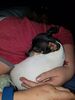 Filename=20180520_001.jpg
Filesize=502KiB
Dimensions=1536x2048
Date added=Dec 25, 2018 20180520_001.jpg