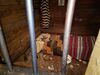 Filename=20180609_011.jpg
Filesize=460KiB
Dimensions=2048x1536
Date added=Dec 25, 2018 20180609_011.jpg
