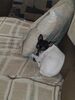 Filename=20180617_015.jpg
Filesize=312KiB
Dimensions=1536x2048
Date added=Dec 25, 2018 20180617_015.jpg