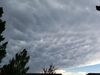 Filename=20180622_001.jpg
Filesize=230KiB
Dimensions=2048x1536
Date added=Dec 25, 2018 20180622_001.jpg