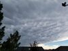 Filename=20180622_002.jpg
Filesize=263KiB
Dimensions=2048x1536
Date added=Dec 25, 2018 20180622_002.jpg