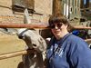 Filename=20180623_008.jpg
Filesize=754KiB
Dimensions=2048x1536
Date added=Dec 25, 2018 20180623_008.jpg
