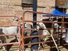Filename=20180623_011.jpg
Filesize=850KiB
Dimensions=2048x1536
Date added=Dec 25, 2018 20180623_011.jpg