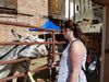 Filename=20180623_012.jpg
Filesize=761KiB
Dimensions=2048x1536
Date added=Dec 25, 2018 20180623_012.jpg