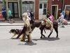 Filename=20180623_030.jpg
Filesize=610KiB
Dimensions=2048x1536
Date added=Dec 25, 2018 20180623_030.jpg