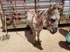 Filename=20180623_040.jpg
Filesize=781KiB
Dimensions=2048x1536
Date added=Dec 25, 2018 20180623_040.jpg