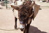 Filename=20180623_043.jpg
Filesize=435KiB
Dimensions=2047x1360
Date added=Dec 25, 2018 20180623_043.jpg