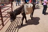 Filename=20180623_044.jpg
Filesize=671KiB
Dimensions=2047x1360
Date added=Dec 25, 2018 20180623_044.jpg