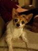 Filename=20180625_001.jpg
Filesize=330KiB
Dimensions=1536x2048
Date added=Dec 25, 2018 20180625_001.jpg