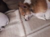 Filename=20180628_001.jpg
Filesize=408KiB
Dimensions=2048x1536
Date added=Dec 25, 2018 20180628_001.jpg
