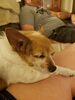 Filename=20180628_003.jpg
Filesize=347KiB
Dimensions=1536x2048
Date added=Dec 25, 2018 20180628_003.jpg