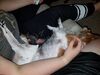 Filename=20180630_004.jpg
Filesize=480KiB
Dimensions=2048x1536
Date added=Dec 25, 2018 20180630_004.jpg