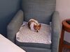 Filename=20180709_008.jpg
Filesize=471KiB
Dimensions=2048x1536
Date added=Dec 25, 2018 20180709_008.jpg