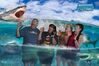 Filename=20180710_008.jpg
Filesize=337KiB
Dimensions=1800x1200
Date added=Dec 25, 2018 20180710_008.jpg