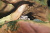 Filename=20180710_014.jpg
Filesize=243KiB
Dimensions=2047x1360
Date added=Dec 25, 2018 20180710_014.jpg