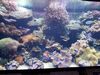 Filename=20180710_025.jpg
Filesize=813KiB
Dimensions=2048x1536
Date added=Dec 25, 2018 20180710_025.jpg