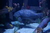 Filename=20180710_029.jpg
Filesize=382KiB
Dimensions=2047x1360
Date added=Dec 25, 2018 20180710_029.jpg