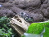 Filename=20180710_055.jpg
Filesize=512KiB
Dimensions=2048x1536
Date added=Dec 25, 2018 20180710_055.jpg