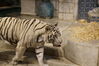 Filename=20180710_065.jpg
Filesize=358KiB
Dimensions=2047x1360
Date added=Dec 25, 2018 20180710_065.jpg