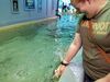 Filename=20180710_085.jpg
Filesize=563KiB
Dimensions=2048x1536
Date added=Dec 25, 2018 20180710_085.jpg