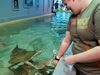Filename=20180710_086.jpg
Filesize=471KiB
Dimensions=2048x1536
Date added=Dec 25, 2018 20180710_086.jpg