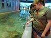 Filename=20180710_088.jpg
Filesize=505KiB
Dimensions=2048x1536
Date added=Dec 25, 2018 20180710_088.jpg