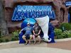 Filename=20180710_105.jpg
Filesize=677KiB
Dimensions=2048x1536
Date added=Dec 25, 2018 20180710_105.jpg